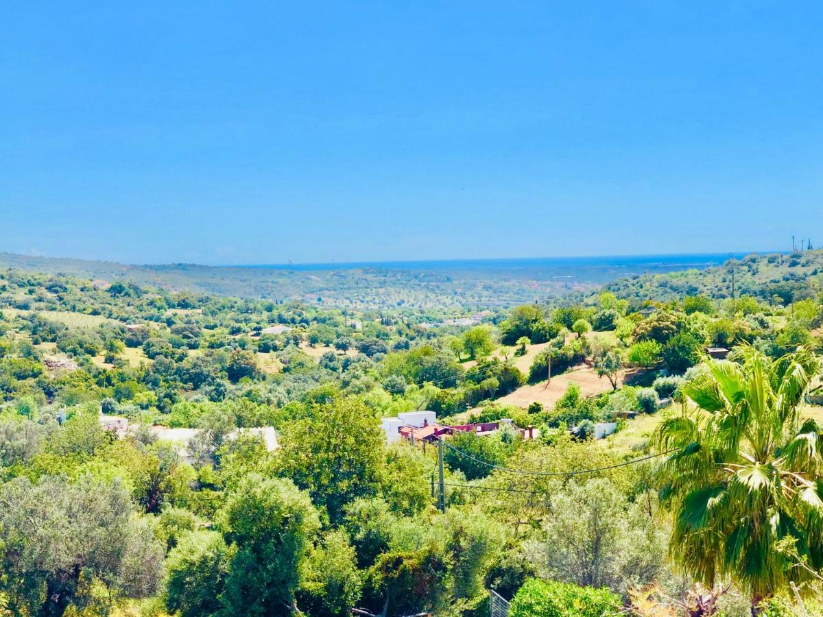 Luxury Casa Da Fonte - Private Heated Salt Pool Villa Faro Exterior photo